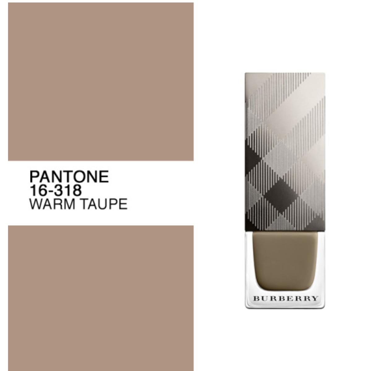 Taupe цвет Pantone